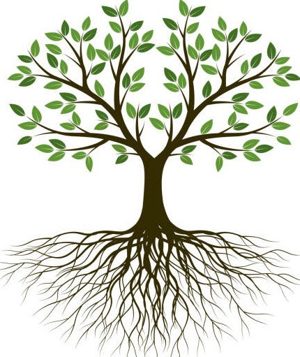 Tempestuous Roots Art & Farms LLC