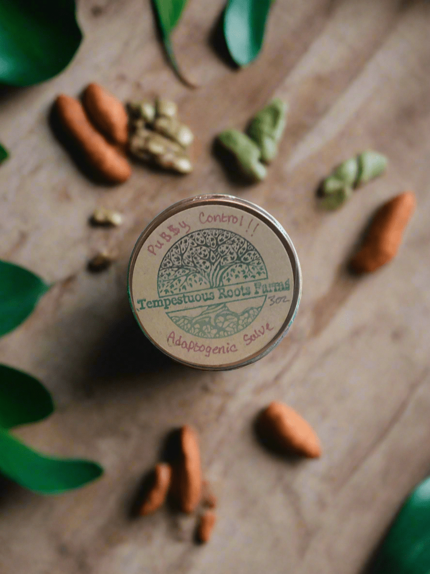 PU$$Y Control: Adaptogenic Herbal Salve - Tempestuous Roots Art & Farms LLC