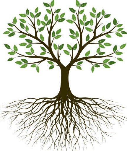 Tempestuous Roots Art & Farms Gift Card - Tempestuous Roots Art & Farms LLC