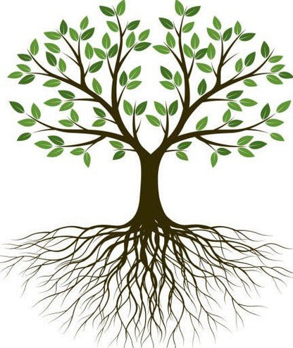 Tempestuous Roots Art & Farms Gift Card - Tempestuous Roots Art & Farms LLC